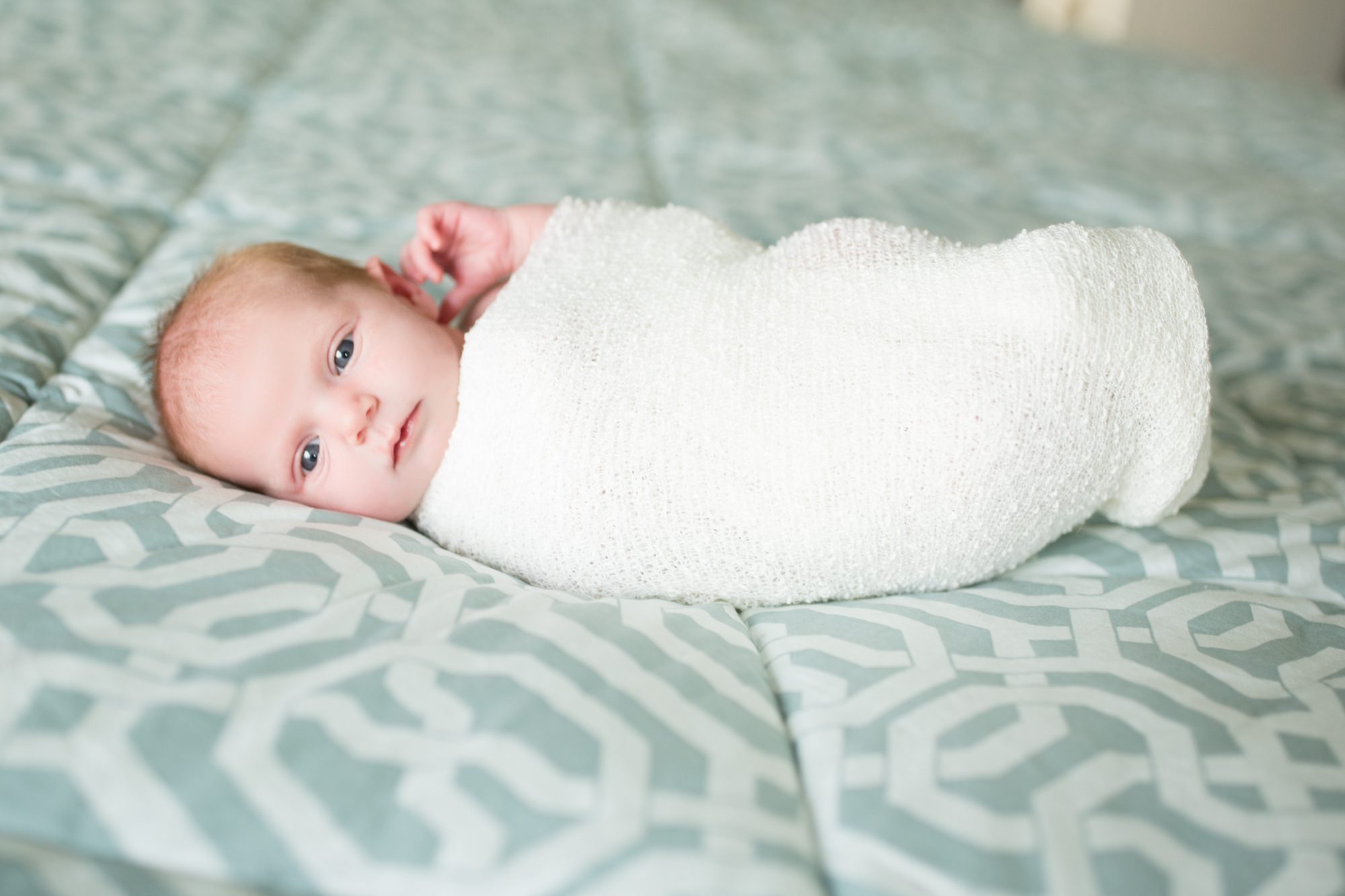 Infant Photography CT Portfolio Image