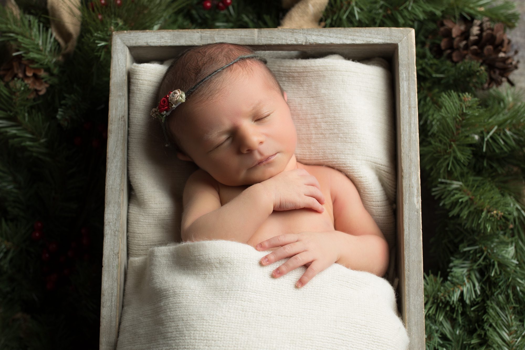 Baby Photography CT Portfolio Image